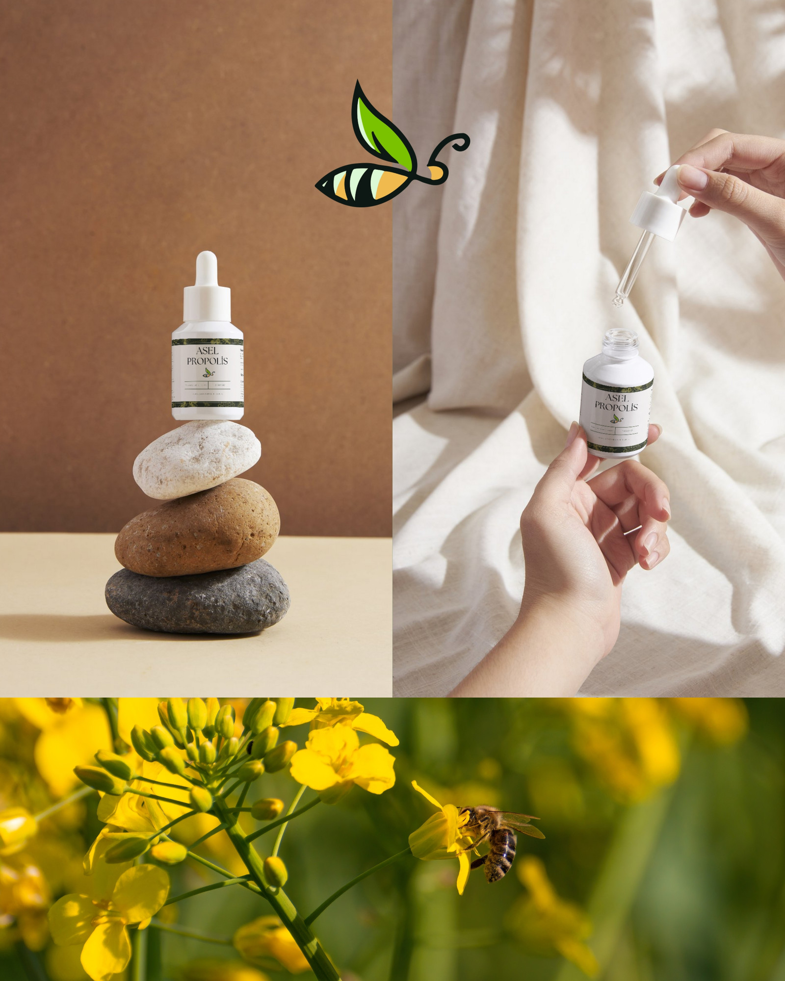 Asel Propolis — görsel 12