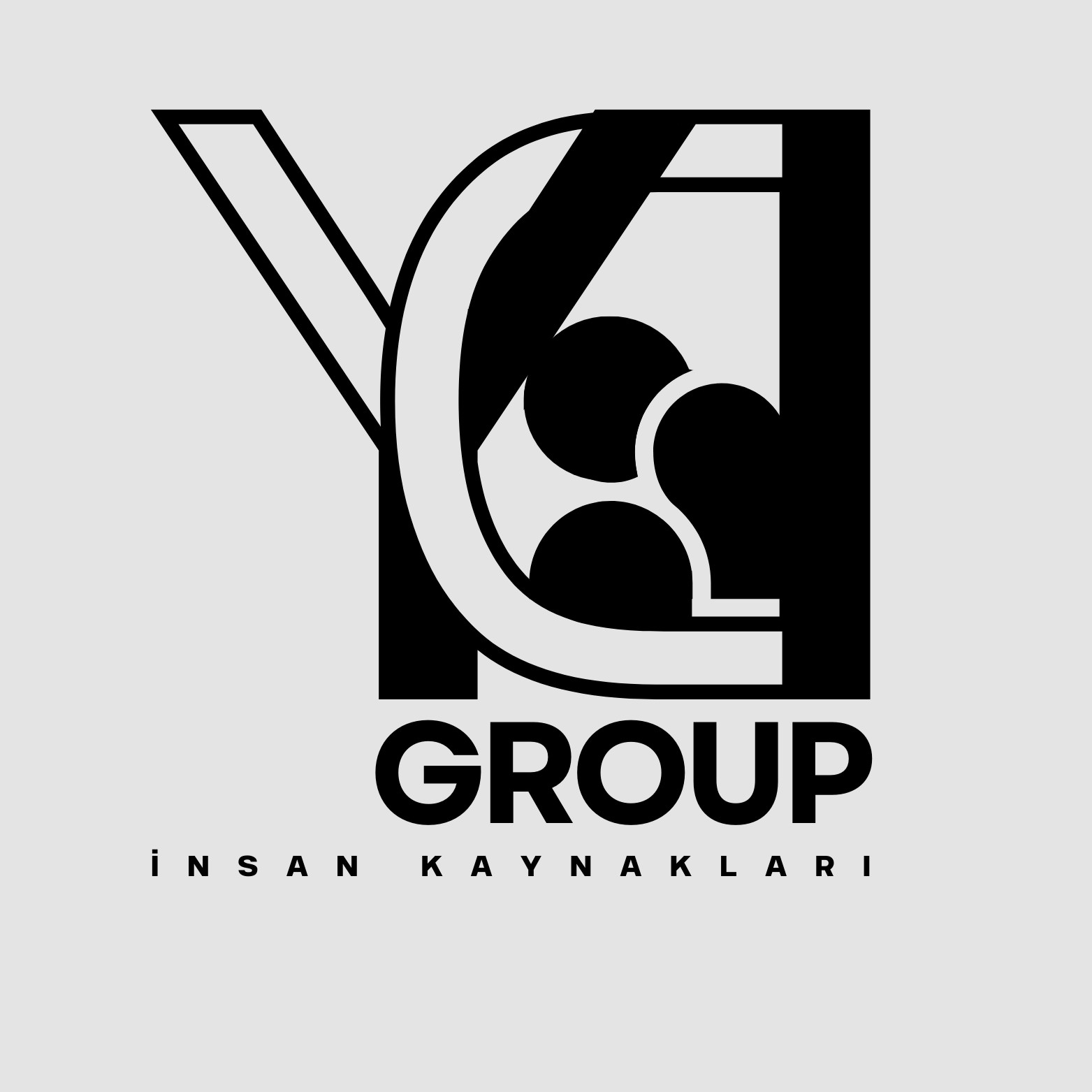 YD Group kapak görseli